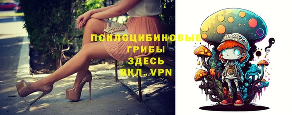 Альфа ПВП Великий Новгород